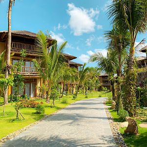 Bungalow Premium